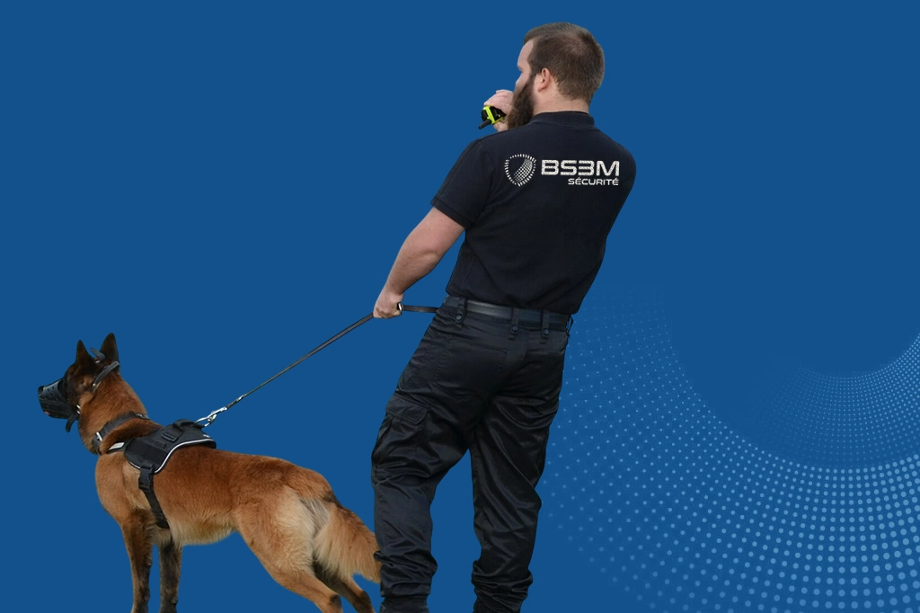 BS3M Sécurité